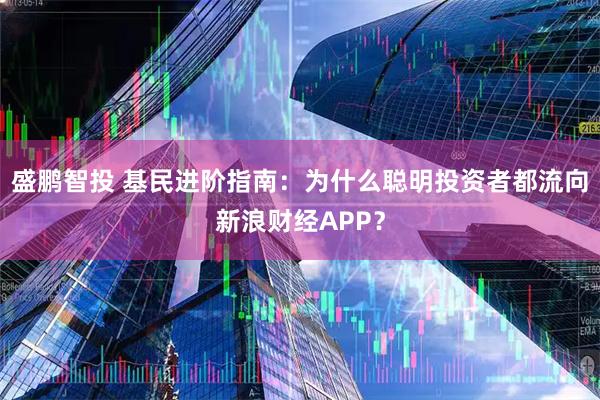 盛鹏智投 基民进阶指南：为什么聪明投资者都流向新浪财经APP？