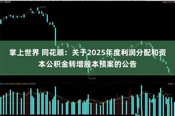 掌上世界 同花顺：关于2025年度利润分配和资本公积金转增股本预案的公告