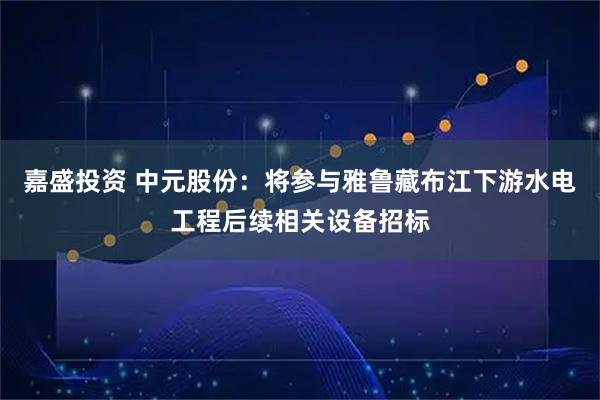 嘉盛投资 中元股份：将参与雅鲁藏布江下游水电工程后续相关设备招标